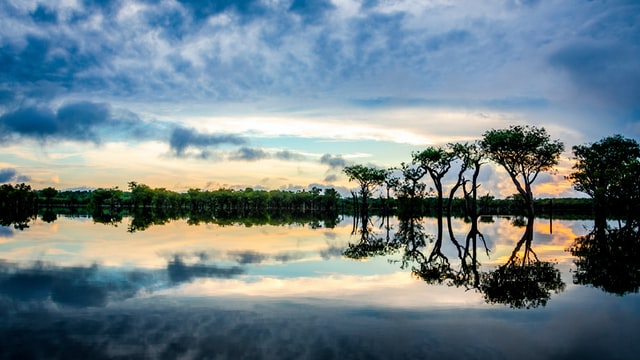 Amazônia, um bem brasileiro para o mundo