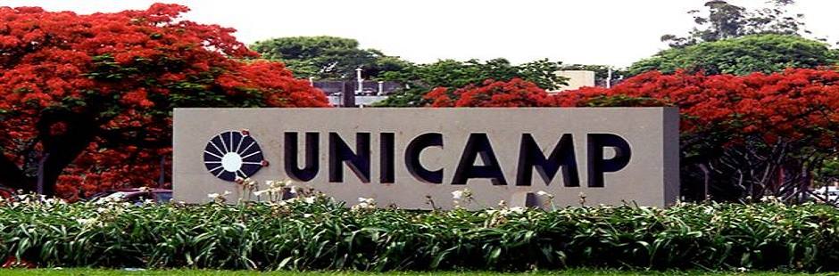 Empresas filhas da Unicamp faturaram 8 bilhões em 2020
