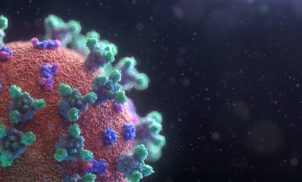Evidências da origem do Coronavírus - Parte 3